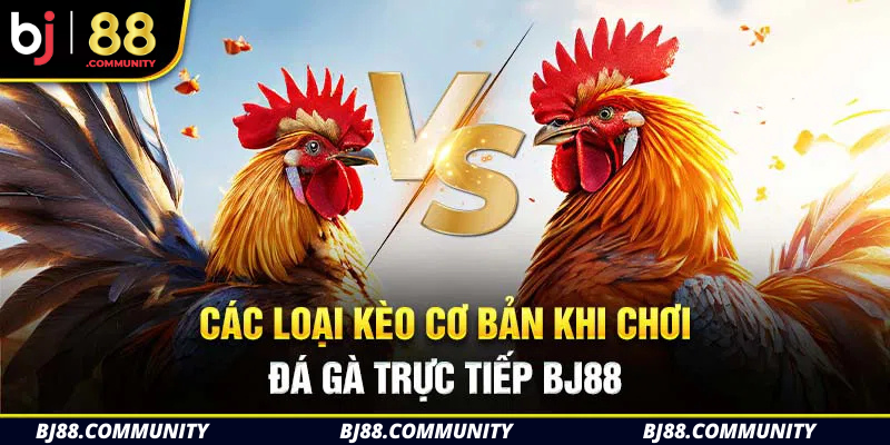 Các loại kèo cược hot nhất định phải thử tại đá gà Bj88